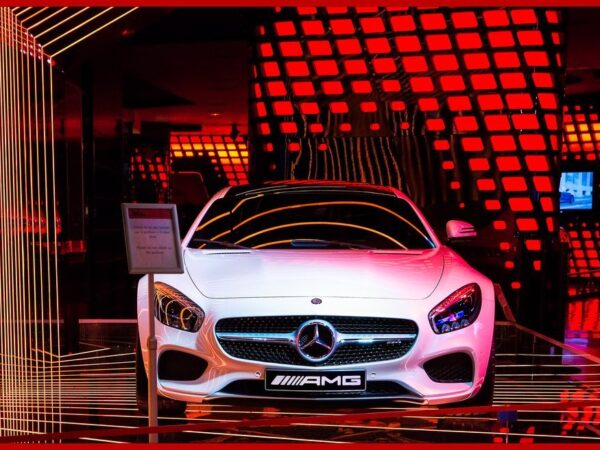 World Health Organization Announces Major Progress in Malaria